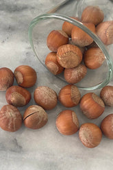 Hazelnuts in shell
